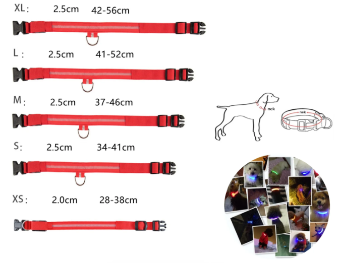 Hondenhalsband met LED Verlichting - GlowCollar